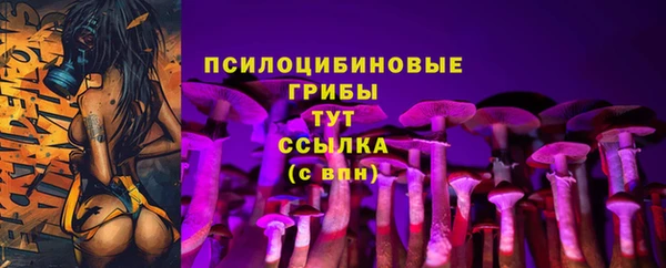 ПСИЛОЦИБИНОВЫЕ ГРИБЫ Алексеевка