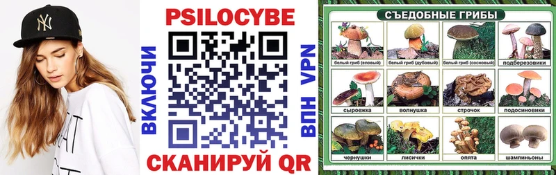 shop телеграм  Кадников  Галлюциногенные грибы Cubensis  сколько стоит 