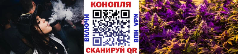 Канабис ГИДРОПОН Кадников